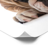 Poster de l'Humour de l'école Casquette (Coin)