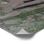 Poster de Lian Chi (Coin)