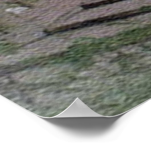 Poster de Lian Chi (Coin)