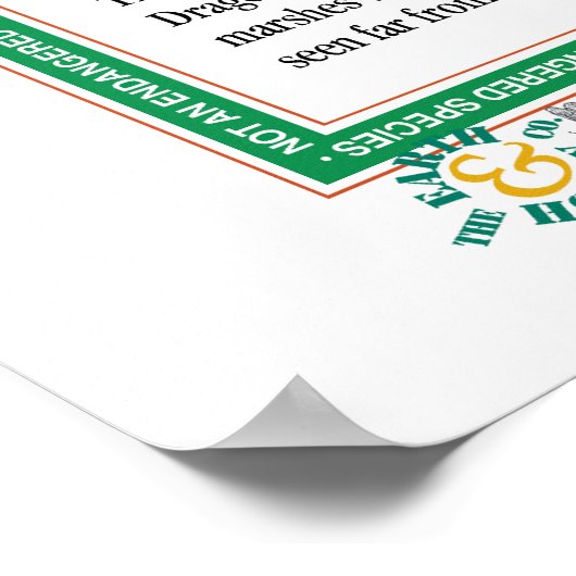 Poster de libellules (Coin)