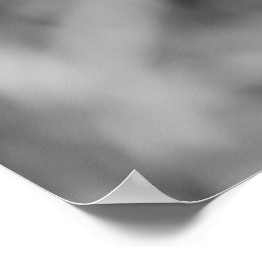 Poster de libellules (Coin)