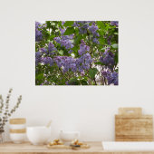 Poster de Lilacs (Cuisine)