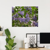 Poster de Lilacs (Bureau à domicile)