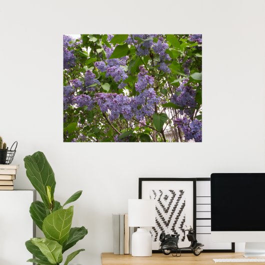 Poster de Lilacs (Bureau à domicile)