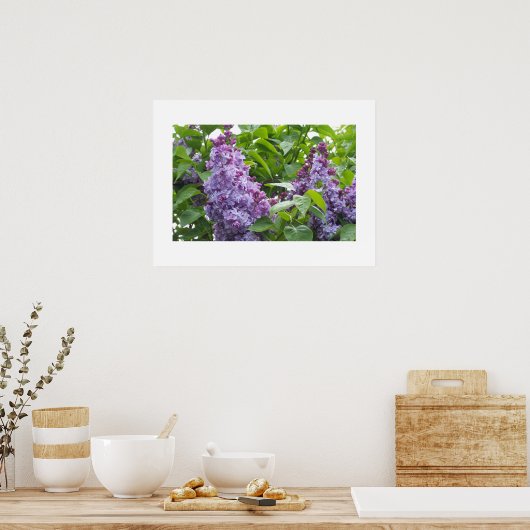 Poster de Lilacs (Cuisine)