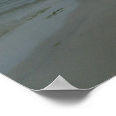 Poster de l'île Dauphin #2 (Coin)