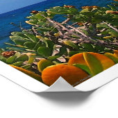 Poster de l'île de Cure Water Salt (Coin)