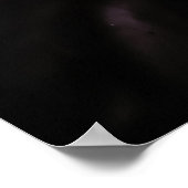 Poster de LiliGuokalani 1880 (Coin)