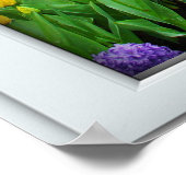 Poster de l'illusion de la fenêtre du jardin de pr (Coin)