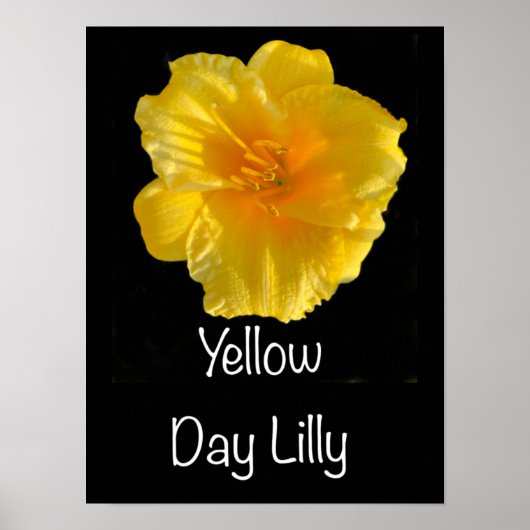 Poster de Lilly Jaune 12"x16" (Devant)