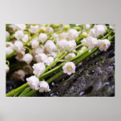 Poster de Lily of the Valley (Devant)