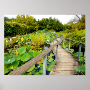 Poster de Lily Pond