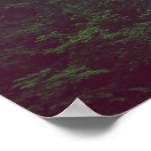 Poster de l'imaginaire de la forêt de Dragon (Coin)