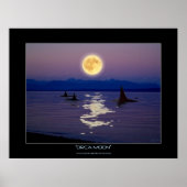 Poster de l'Imaginaire ORCA MOON (Devant)