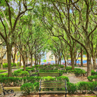 Poster de l'immeuble du centre-ville de Charleston