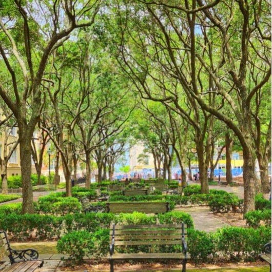 Poster de l'immeuble du centre-ville de Charleston