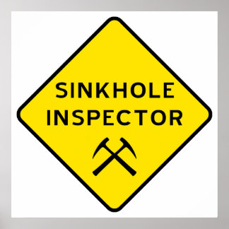 Poster de l'inspecteur Sinkhole