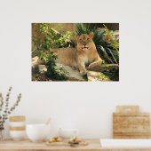 Poster de Lioness (Cuisine)