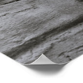 Poster de Lioness (Coin)