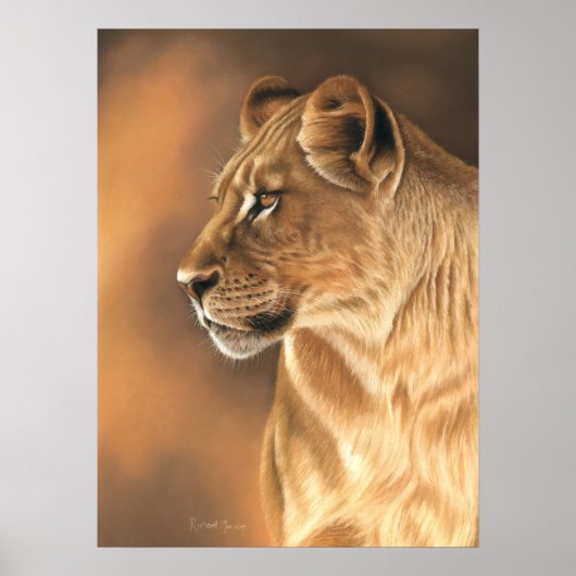 Poster de Lioness (Devant)