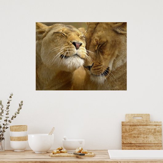 Poster de Lionesses (Cuisine)
