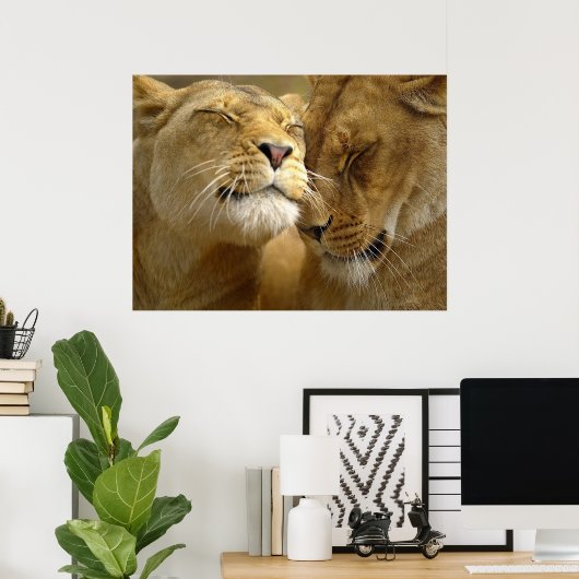 Poster de Lionesses (Bureau à domicile)