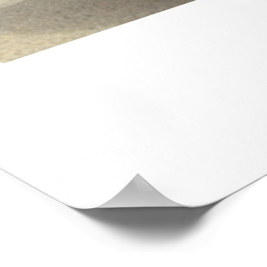 Poster de Lisa Gail's Limited Edition (Coin)