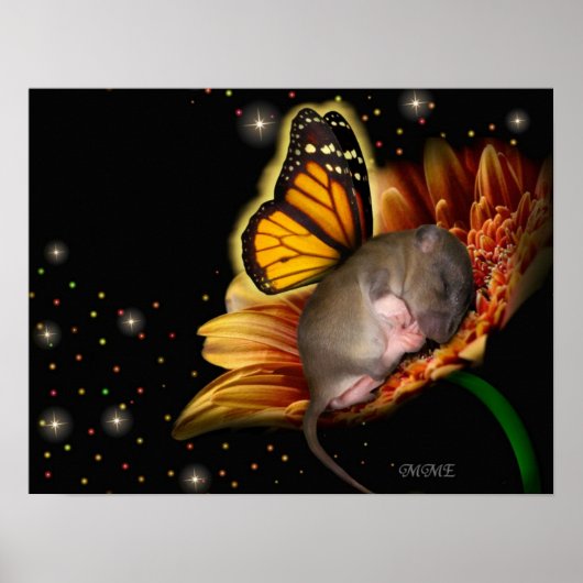 Poster de Little Daisy Dreamer (Devant)