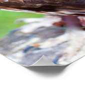 Poster de Little Owl (Coin)