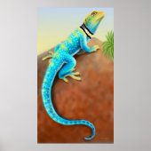 Poster de Lizard à collier oriental (Devant)