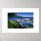 Poster de l'océan hawaïen (Devant)