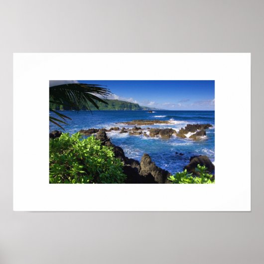 Poster de l'océan hawaïen (Devant)