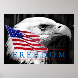 Poster de l'oeil de l'aigle de la Liberté
