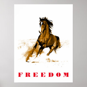 Poster de l'oeuvre Motivationnelle Cheval