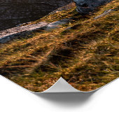 Poster de Lofoten Islands Norvège (Coin)