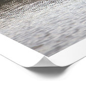 Poster de l'Oie dans l'eau (Coin)