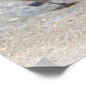 Poster de l'Oie de Bébé (Coin)