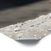 Poster de l'Oie du Canada (Coin)