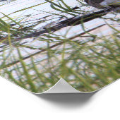 Poster de l'Oie du Canada (Coin)