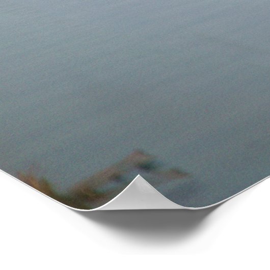 Poster de l'Oie du Canada (Coin)