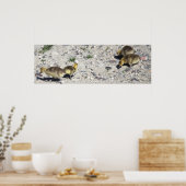 Poster de l'Oie du Canada pour bébés (Cuisine)