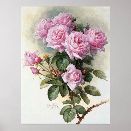 Poster De Longpre Roses roses Bumblebees 1899 (Devant)