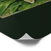 Poster de l'Orchidaceae d'Ernst Haeckel (Coin)