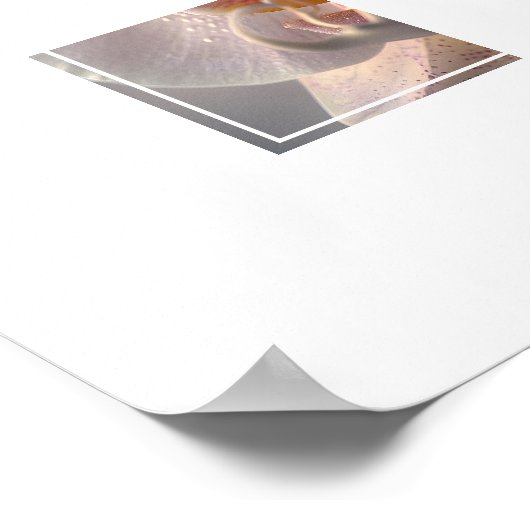 Poster de l'orchidée (Coin)