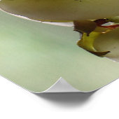 Poster de l'orchidée dangereuse (Coin)