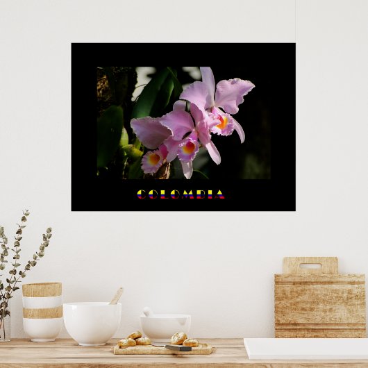 Poster de l'orchidée de Cattleya (Cuisine)