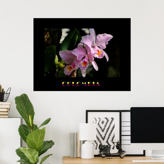Poster de l'orchidée de Cattleya (Bureau à domicile)