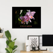 Poster de l'orchidée de Cattleya (Bureau à domicile)