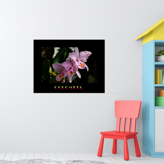 Poster de l'orchidée de Cattleya (Pépinière 1)