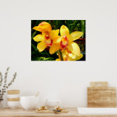 Poster de l'orchidée du Cymbidium jaune (Cuisine)